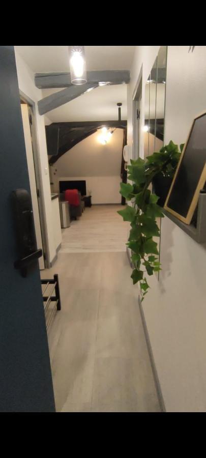 Appartement Sous Combles
